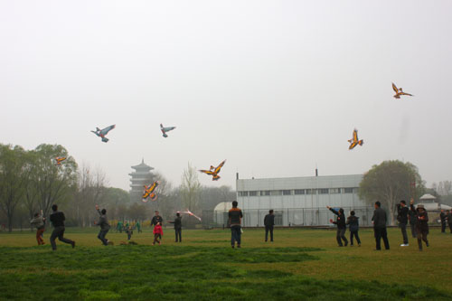 全球鹰活动 放风筝